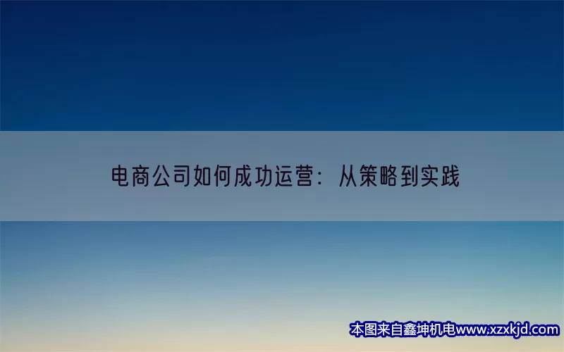 电商公司如何成功运营：从策略到实践(pic1)