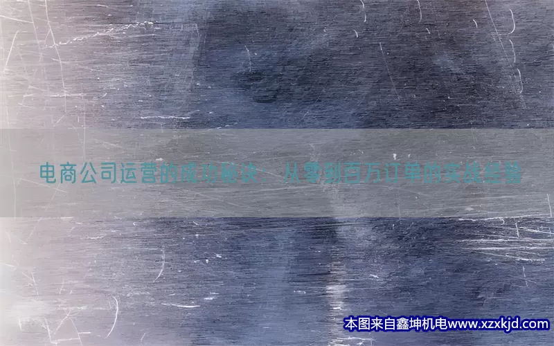 电商公司运营的成功秘诀：从零到百万订单的实战经验(pic1)