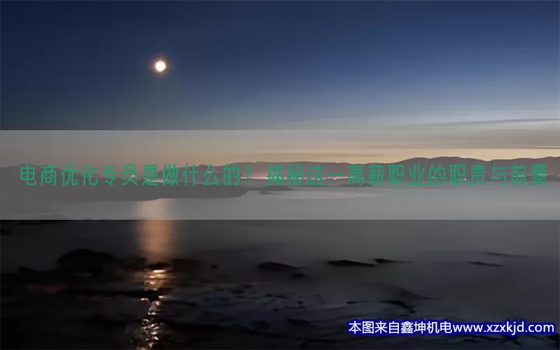 电商优化专员是做什么的？揭秘这一高薪职业的职责与前景(pic1)