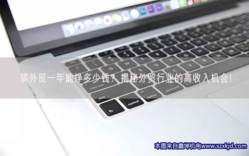 搞外贸一年能挣多少钱？揭秘外贸行业的高收入机会！(pic1)