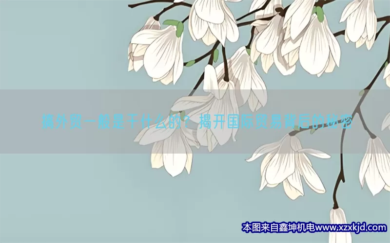 搞外贸一般是干什么的？揭开国际贸易背后的秘密(pic1)