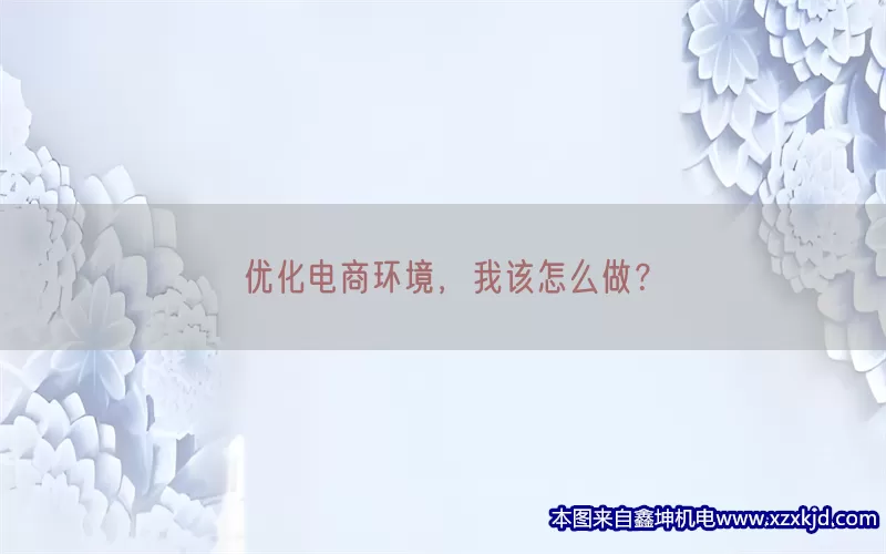 优化电商环境，我该怎么做？(pic1)