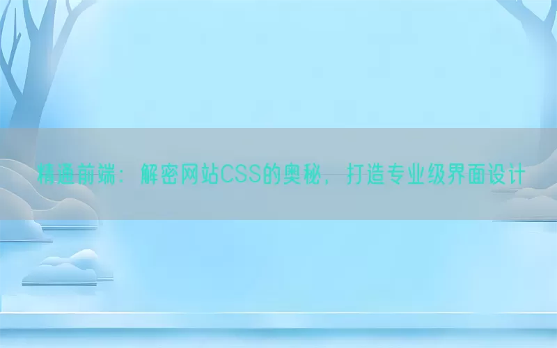 精通前端：解密网站CSS的奥秘，打造专业级界面设计