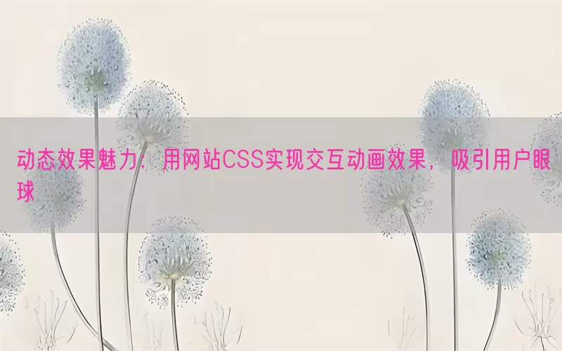 动态效果魅力：用网站CSS实现交互动画效果，吸引用户眼球