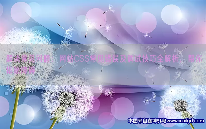 解决常见问题：网站CSS常见错误及调试技巧全解析，帮你排除障碍(pic1)