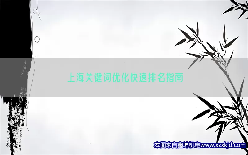 上海关键词优化快速排名指南(pic1)
