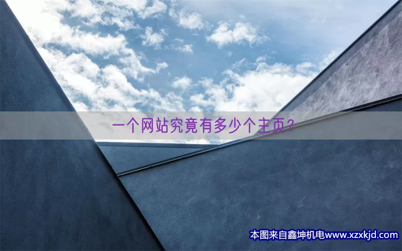 一个网站究竟有多少个主页？(pic1)