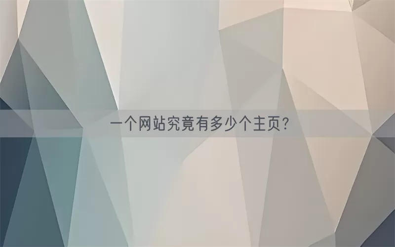 一个网站究竟有多少个主页？