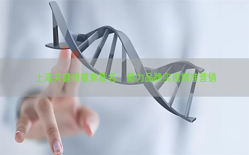 上海关键词搜索排名：助力品牌实现精准营销