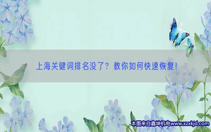 上海关键词排名没了？教你如何快速恢复！(pic1)
