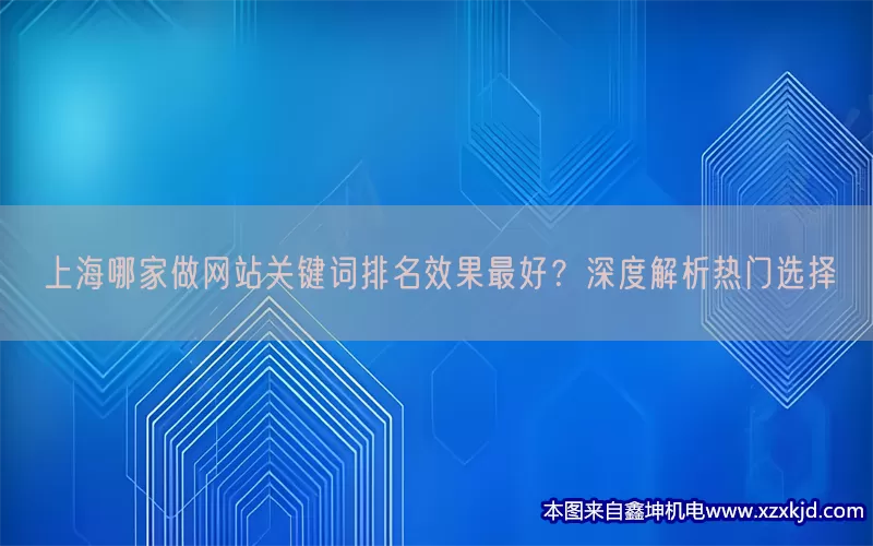 上海哪家做网站关键词排名效果最好？深度解析热门选择(pic1)