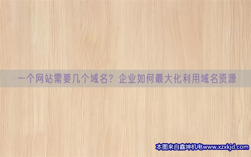 一个网站需要几个域名？企业如何最大化利用域名资源(pic1)