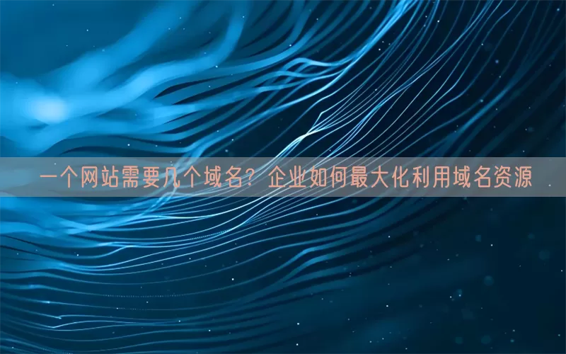 一个网站需要几个域名？企业如何最大化利用域名资源