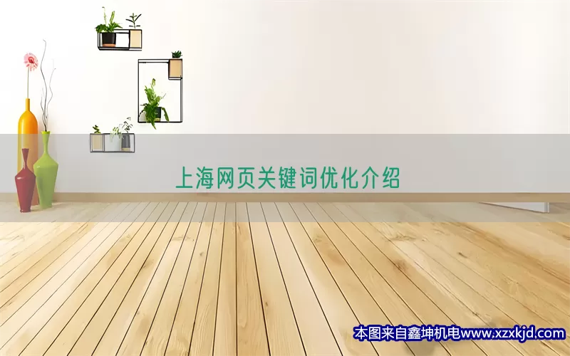 上海网页关键词优化介绍(pic1)