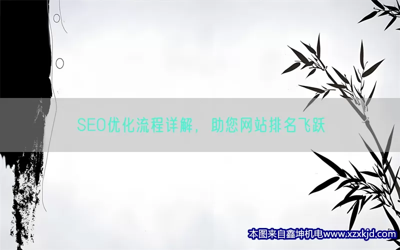 SEO优化流程详解，助您网站排名飞跃(pic1)