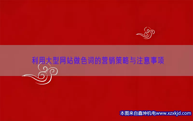 利用大型网站做色词的营销策略与注意事项(pic1)