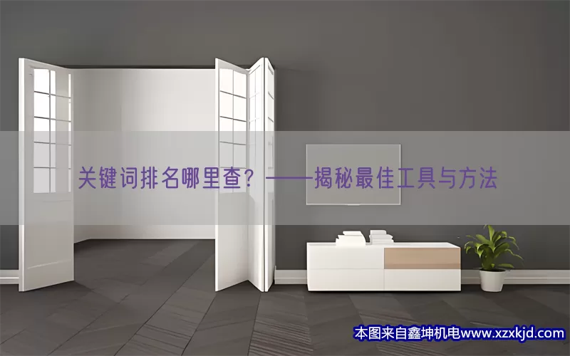 关键词排名哪里查？——揭秘最佳工具与方法(pic1)