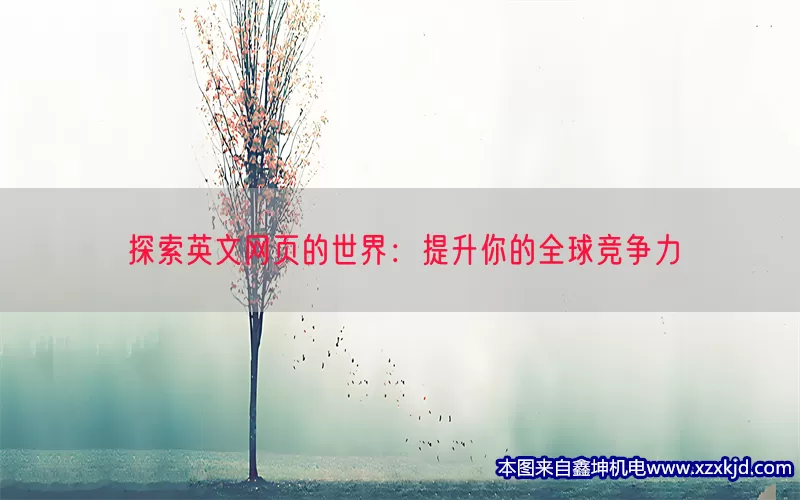 探索英文网页的世界：提升你的全球竞争力(pic1)