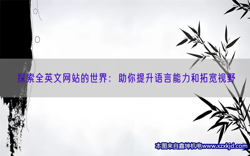 探索全英文网站的世界：助你提升语言能力和拓宽视野(pic1)