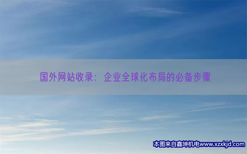 国外网站收录：企业全球化布局的必备步骤(pic1)