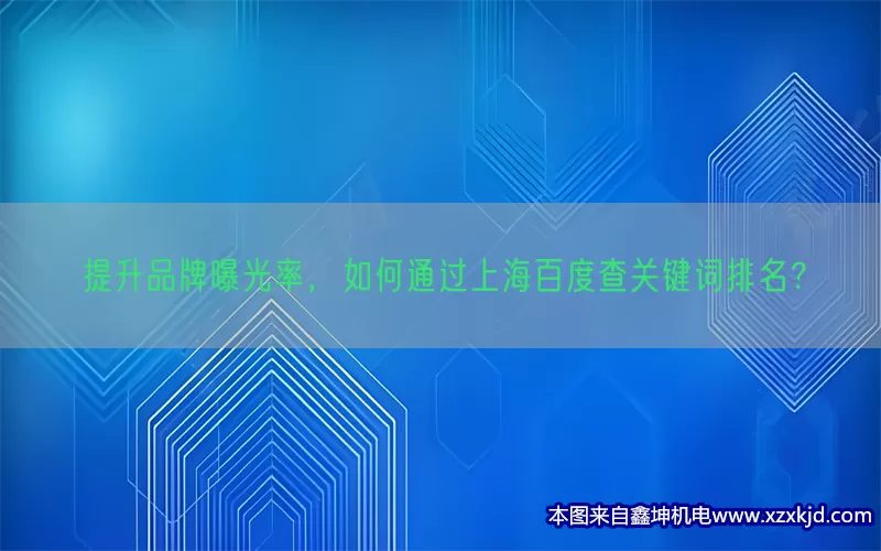提升品牌曝光率，如何通过上海百度查关键词排名？(pic1)
