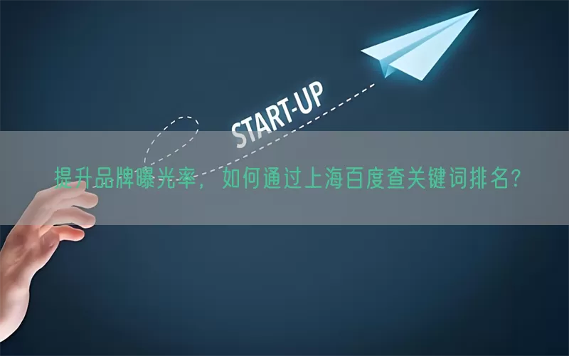 提升品牌曝光率，如何通过上海百度查关键词排名？