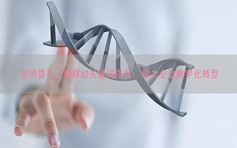 如何提升上海移动关键词排名,助力企业数字化转型