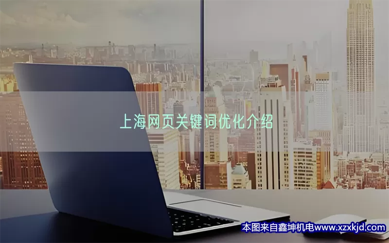 上海网页关键词优化介绍(pic1)