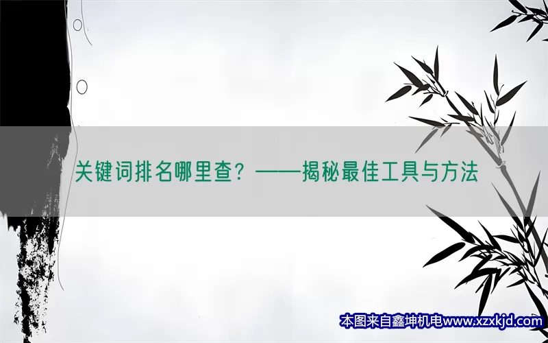 关键词排名哪里查？——揭秘最佳工具与方法(pic1)