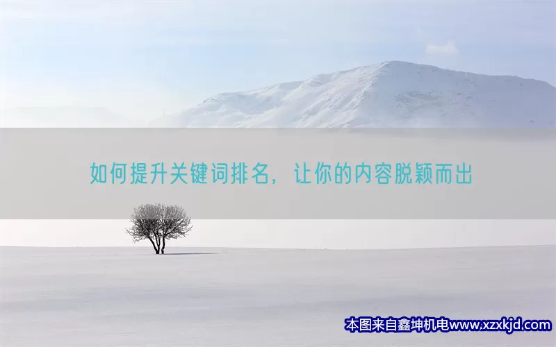 如何提升关键词排名，让你的内容脱颖而出(pic1)