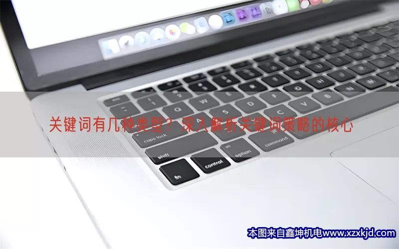 关键词有几种类型？深入解析关键词策略的核心(pic1)