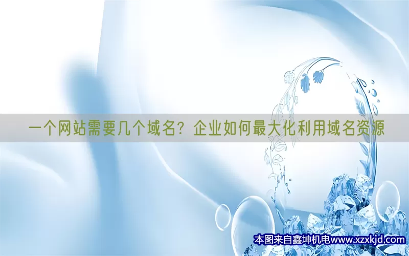 一个网站需要几个域名？企业如何最大化利用域名资源(pic1)