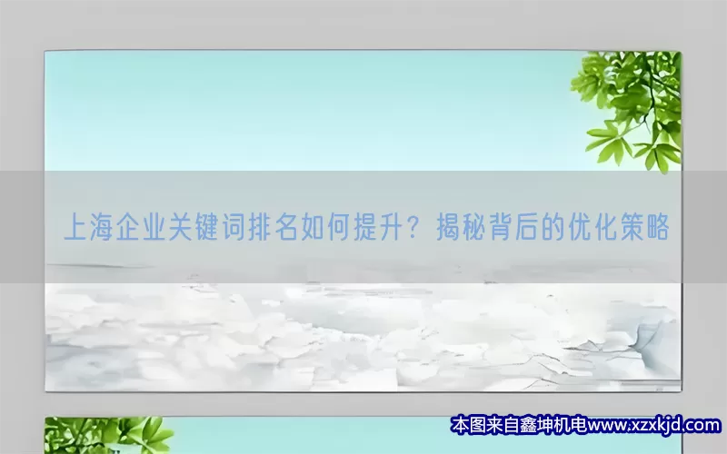 上海企业关键词排名如何提升？揭秘背后的优化策略(pic1)