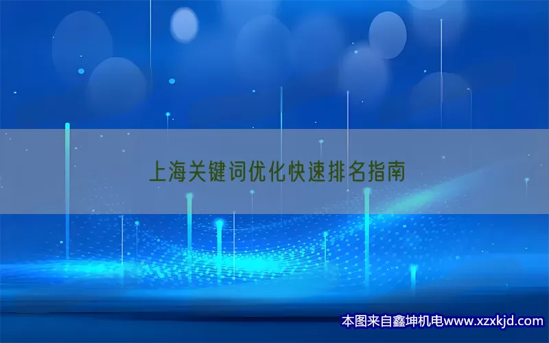 上海关键词优化快速排名指南(pic1)