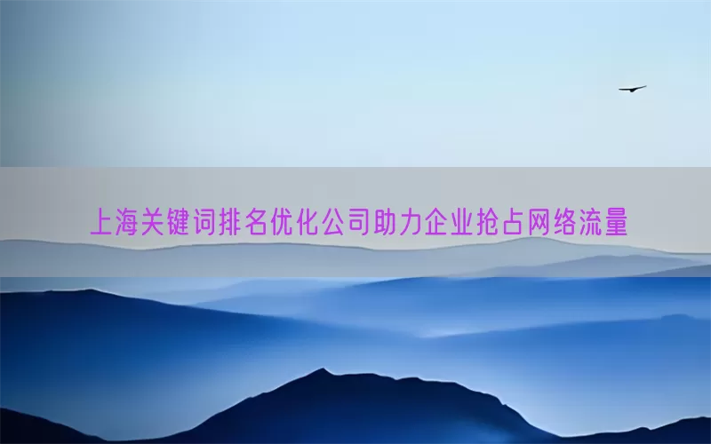 上海关键词排名优化公司助力企业抢占网络流量