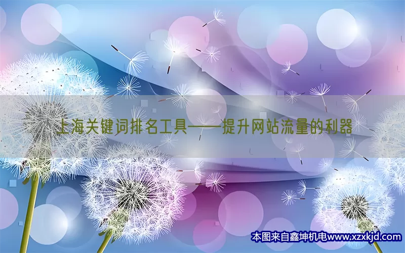 上海关键词排名工具——提升网站流量的利器(pic1)