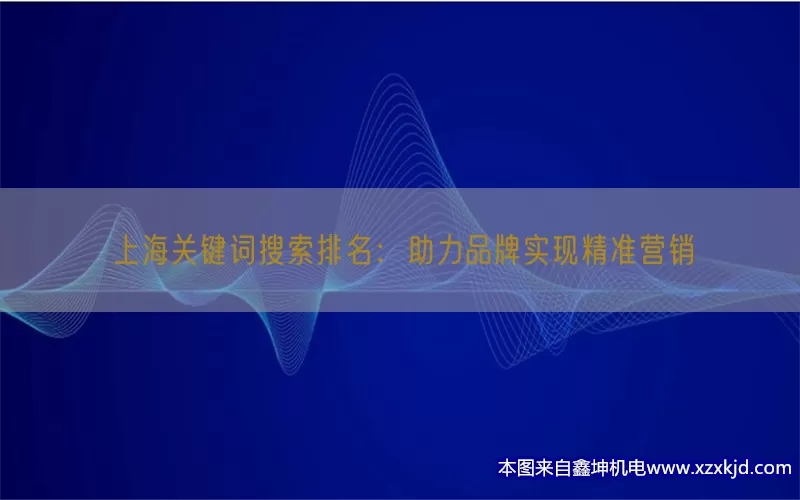 上海关键词搜索排名：助力品牌实现精准营销(pic1)