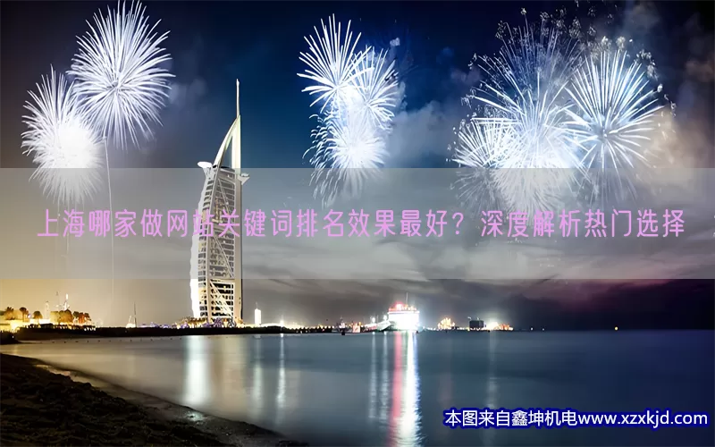 上海哪家做网站关键词排名效果最好？深度解析热门选择(pic1)