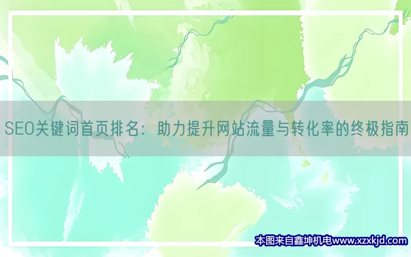 SEO关键词首页排名：助力提升网站流量与转化率的终极指南(pic1)