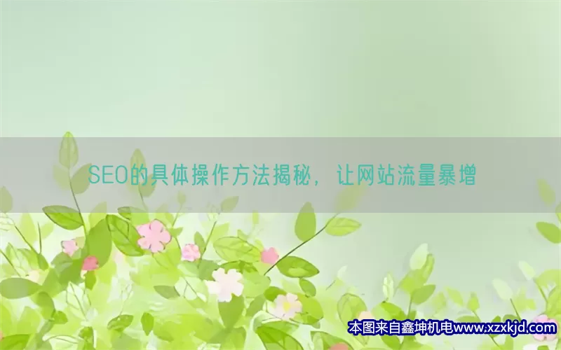 SEO的具体操作方法揭秘，让网站流量暴增(pic1)