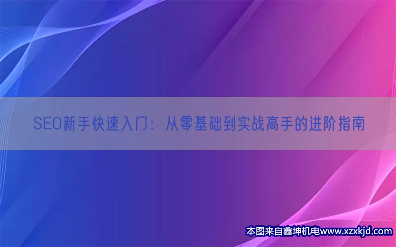 SEO新手快速入门：从零基础到实战高手的进阶指南(pic1)