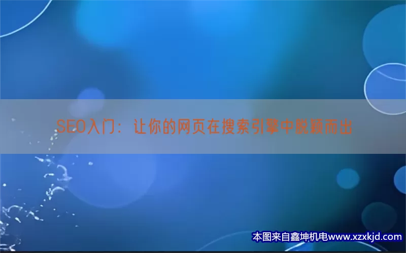 SEO入门：让你的网页在搜索引擎中脱颖而出(pic1)