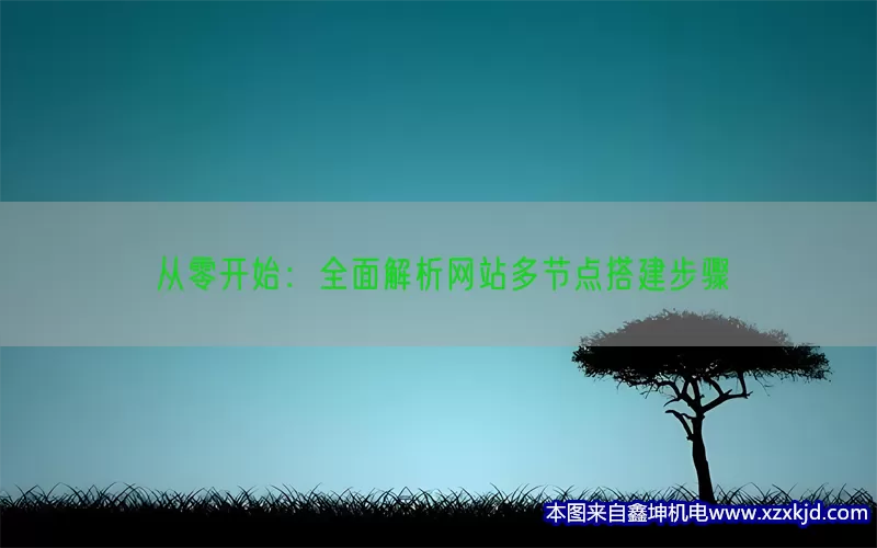 从零开始：全面解析网站多节点搭建步骤(pic1)