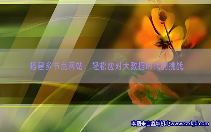 搭建多节点网站：轻松应对大数据时代的挑战(pic1)